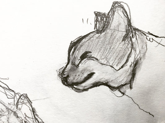 Support me and get a drawing